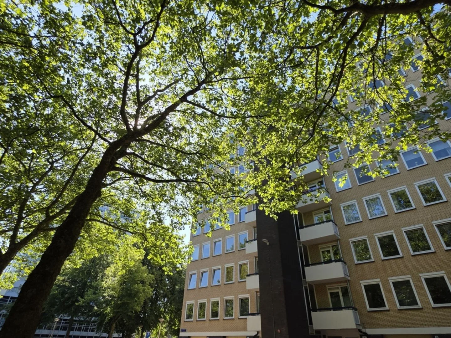 Van Nijenrodeweg 10 Amsterdam thumbnail 15