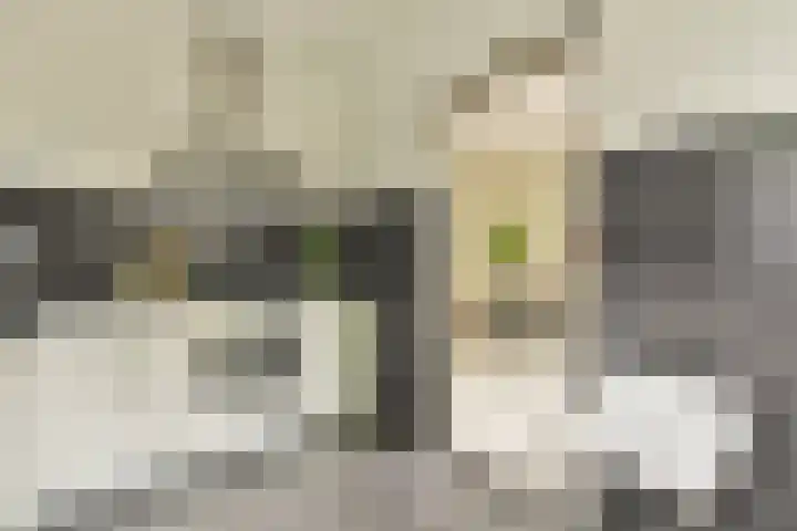 Van Nijenrodeweg 12 Amsterdam thumbnail 14