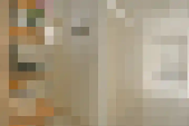 Van Nijenrodeweg 12 Amsterdam thumbnail 16