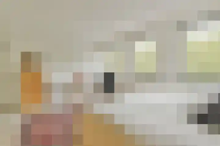 Van Nijenrodeweg 12 Amsterdam thumbnail 17