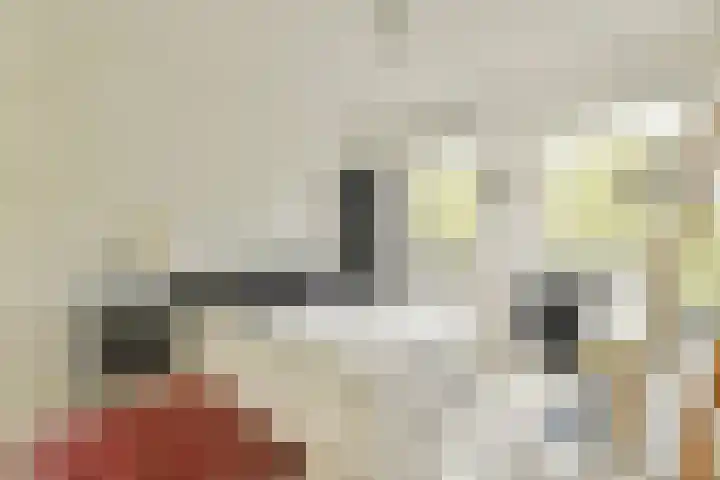 Van Nijenrodeweg 12 Amsterdam thumbnail 19