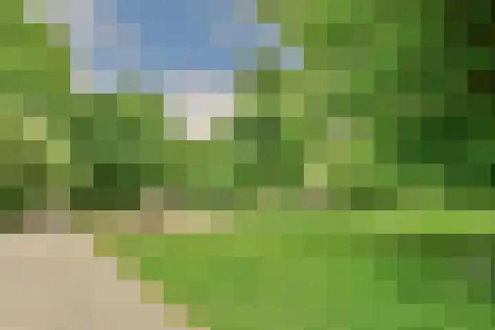 Van Nijenrodeweg 12 Amsterdam thumbnail 31