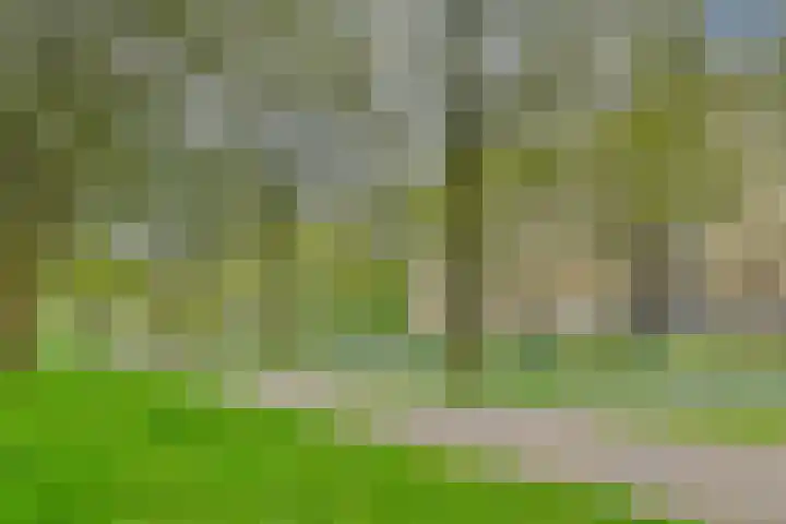 Van Nijenrodeweg 12 Amsterdam thumbnail 34