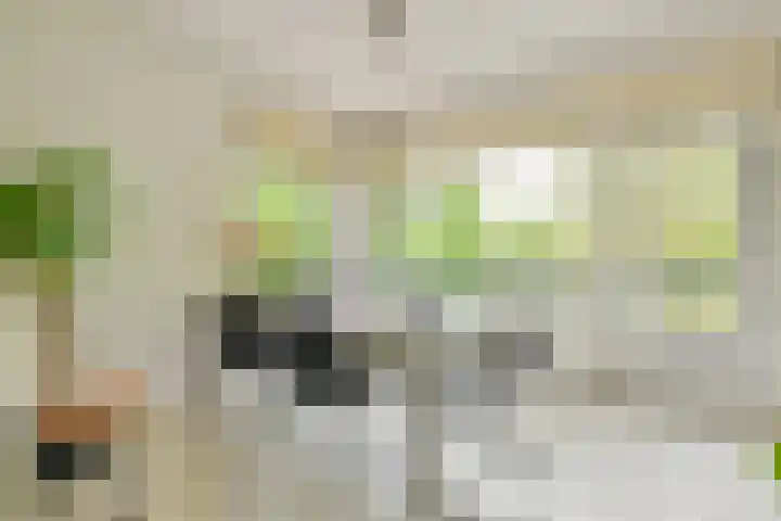 Van Nijenrodeweg 12 Amsterdam thumbnail 4