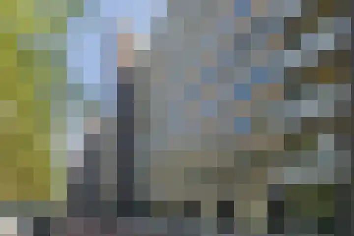 Van Nijenrodeweg 153 Amsterdam thumbnail 27