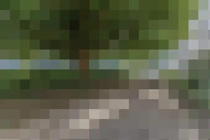 Van Nijenrodeweg 153 Amsterdam thumbnail 30