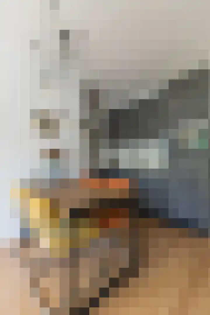 Van Nijenrodeweg 153 Amsterdam thumbnail 9