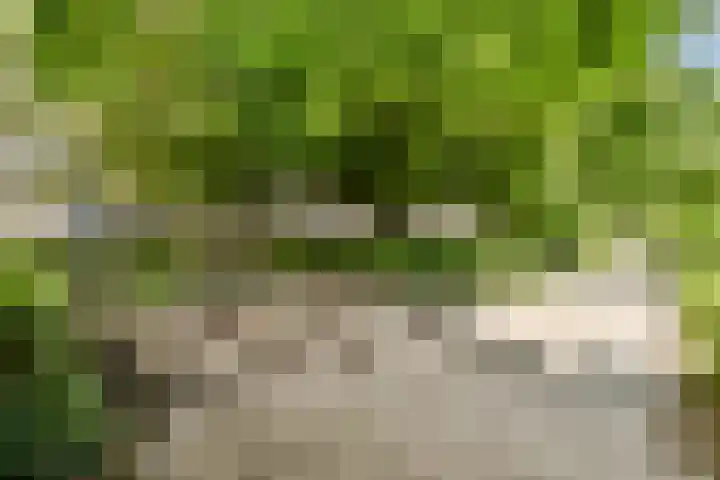 Van Nijenrodeweg 156 Amsterdam thumbnail 18