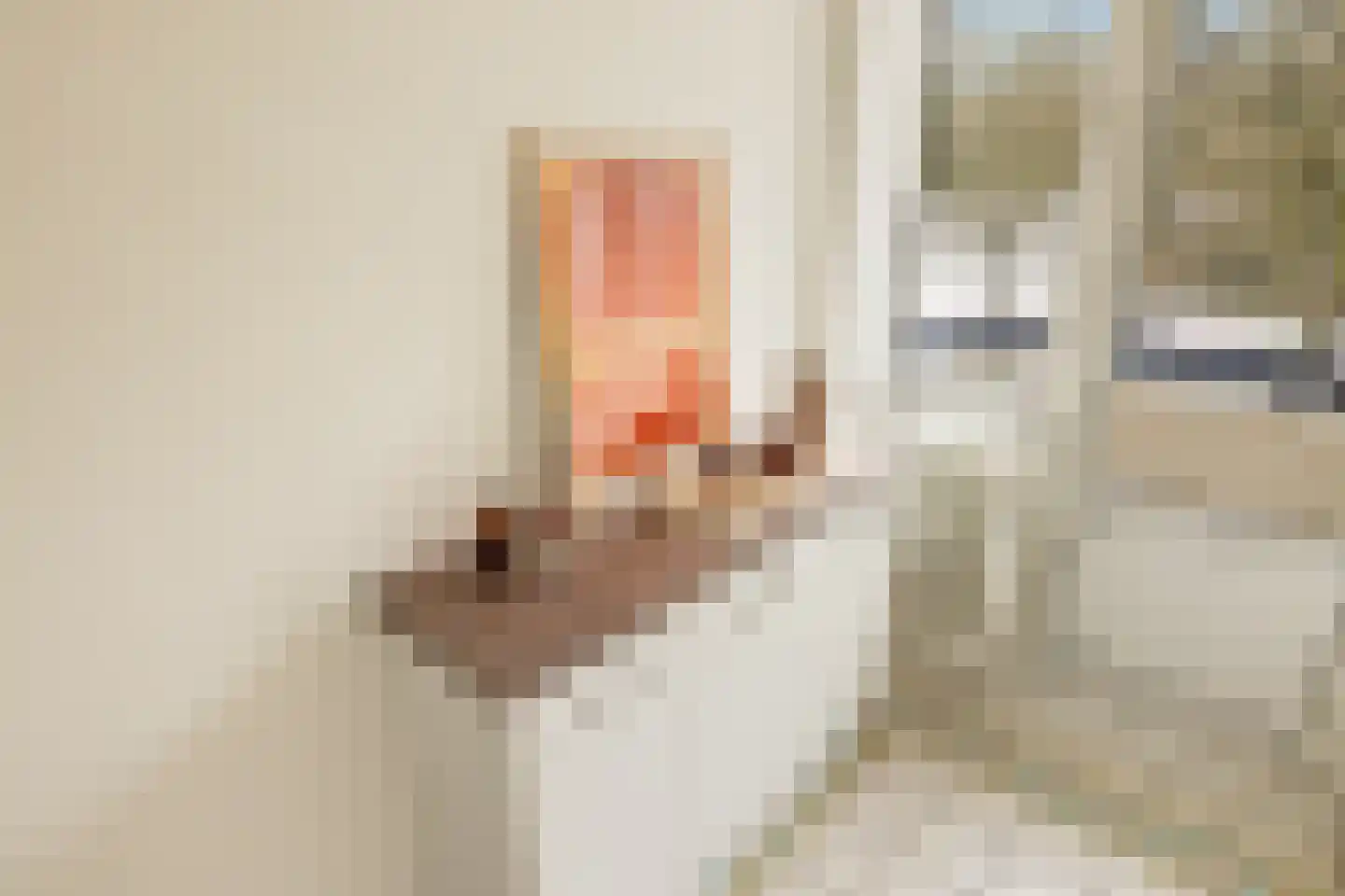 Van Nijenrodeweg 158 Amsterdam thumbnail 17