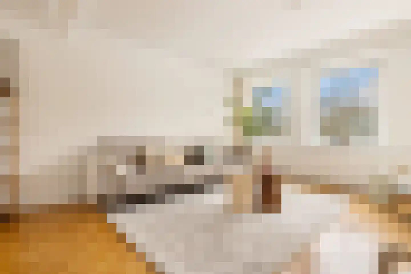 Van Nijenrodeweg 158 Amsterdam thumbnail 9