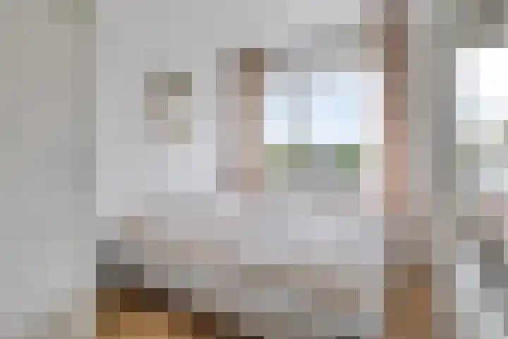 Van Nijenrodeweg 164 Amsterdam thumbnail 11