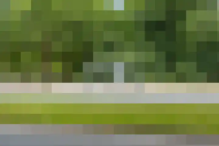 Van Nijenrodeweg 164 Amsterdam thumbnail 19