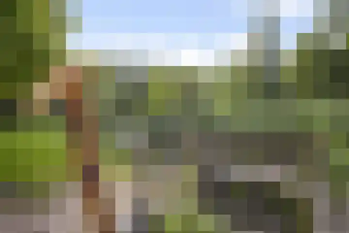 Van Nijenrodeweg 164 Amsterdam thumbnail 22
