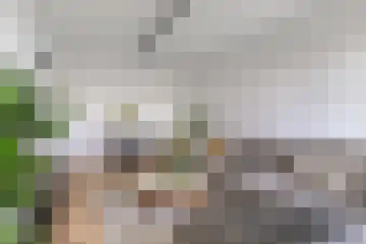 Van Nijenrodeweg 167 Amsterdam thumbnail 9