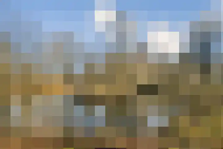 Van Nijenrodeweg 172 Amsterdam thumbnail 18