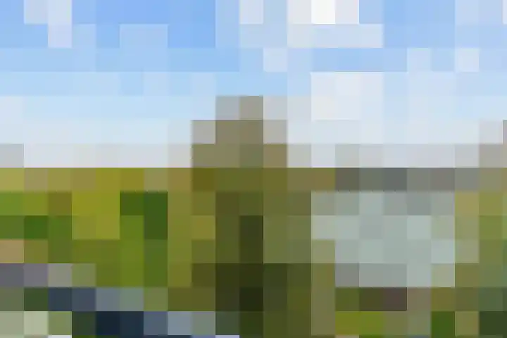 Van Nijenrodeweg 203 Amsterdam thumbnail 15