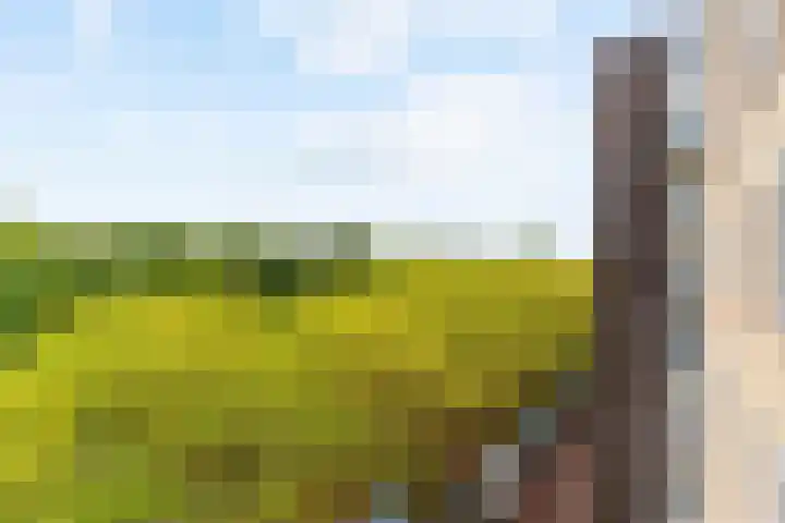 Van Nijenrodeweg 203 Amsterdam thumbnail 23