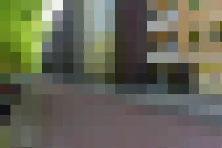 Van Nijenrodeweg 209 Amsterdam thumbnail 20