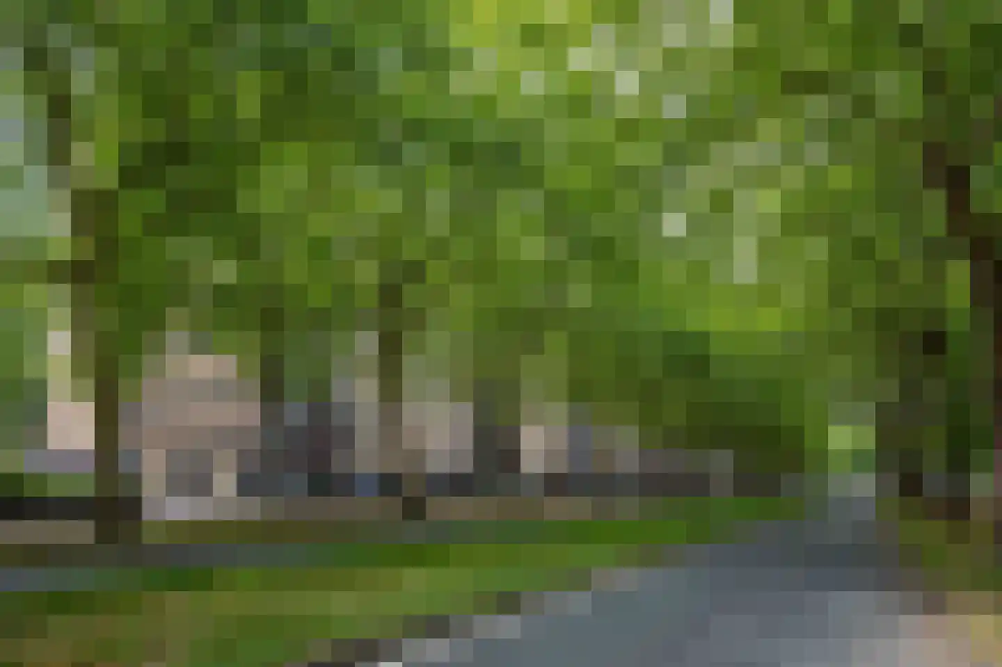 Van Nijenrodeweg 22 Amsterdam thumbnail 19
