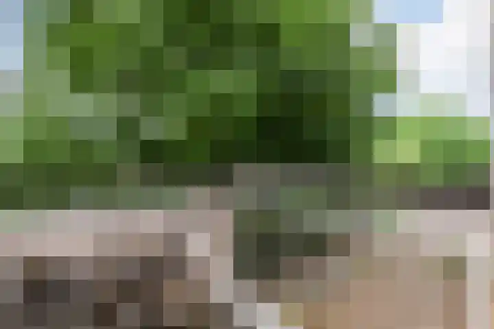 Van Nijenrodeweg 226 Amsterdam thumbnail 19