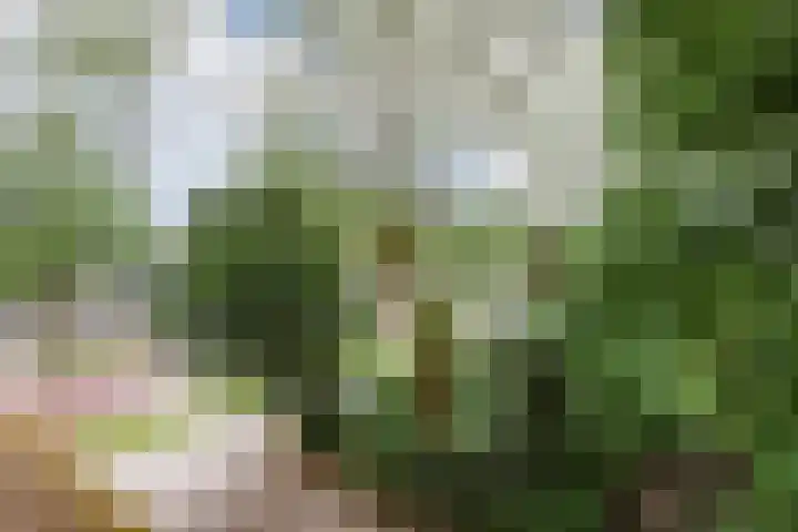 Van Nijenrodeweg 226 Amsterdam thumbnail 21