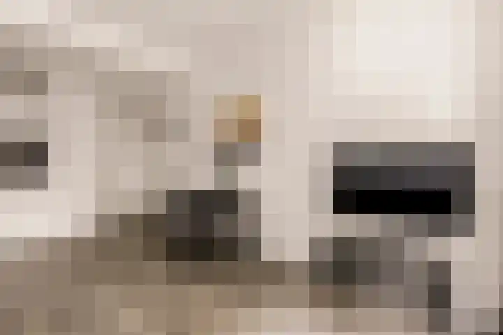 Van Nijenrodeweg 226 Amsterdam thumbnail 5