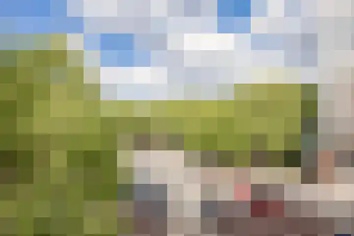 Van Nijenrodeweg 232 Amsterdam thumbnail 12