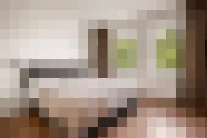 Van Nijenrodeweg 232 Amsterdam thumbnail 15