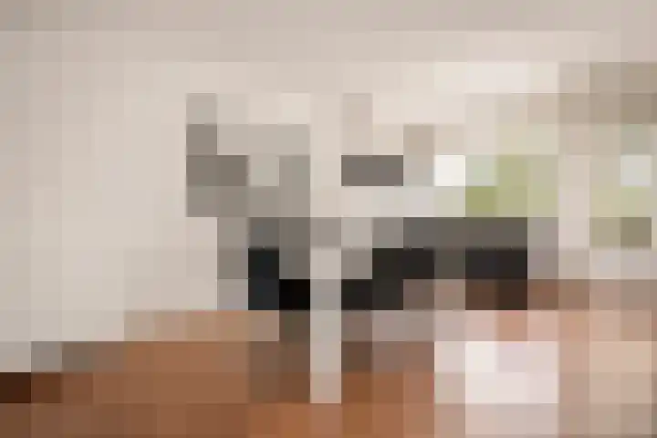 Van Nijenrodeweg 232 Amsterdam thumbnail 4