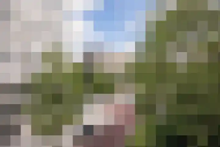 Van Nijenrodeweg 232 Amsterdam thumbnail 6
