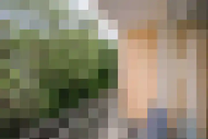 Van Nijenrodeweg 232 Amsterdam thumbnail 7