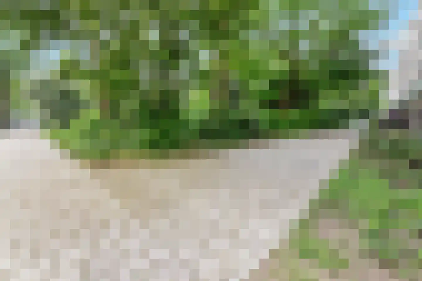 Van Nijenrodeweg 278 Amsterdam thumbnail 18