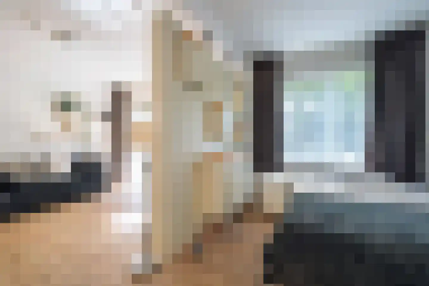 Van Nijenrodeweg 298 Amsterdam thumbnail 8