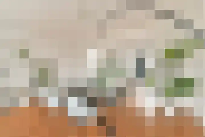 Van Nijenrodeweg 311 Amsterdam thumbnail 9