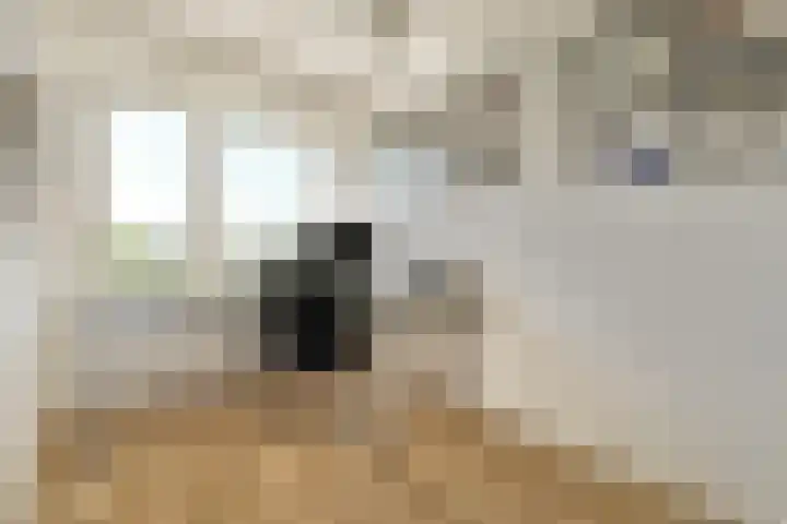 Van Nijenrodeweg 320 Amsterdam thumbnail 17