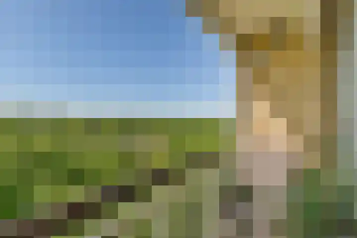Van Nijenrodeweg 320 Amsterdam thumbnail 8