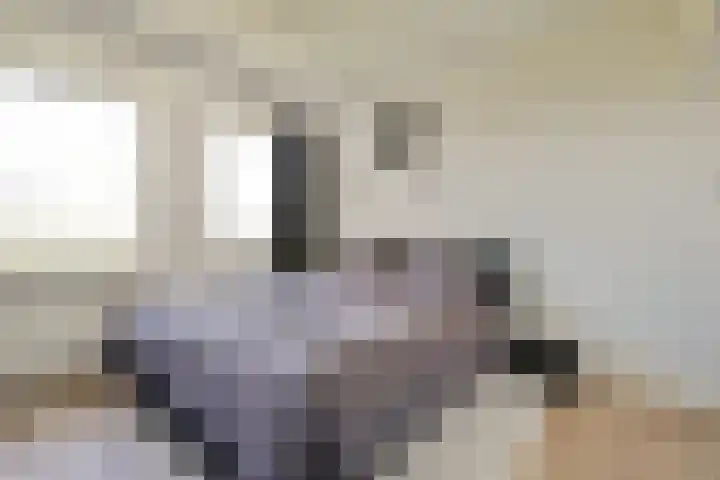 Van Nijenrodeweg 320 Amsterdam thumbnail 9