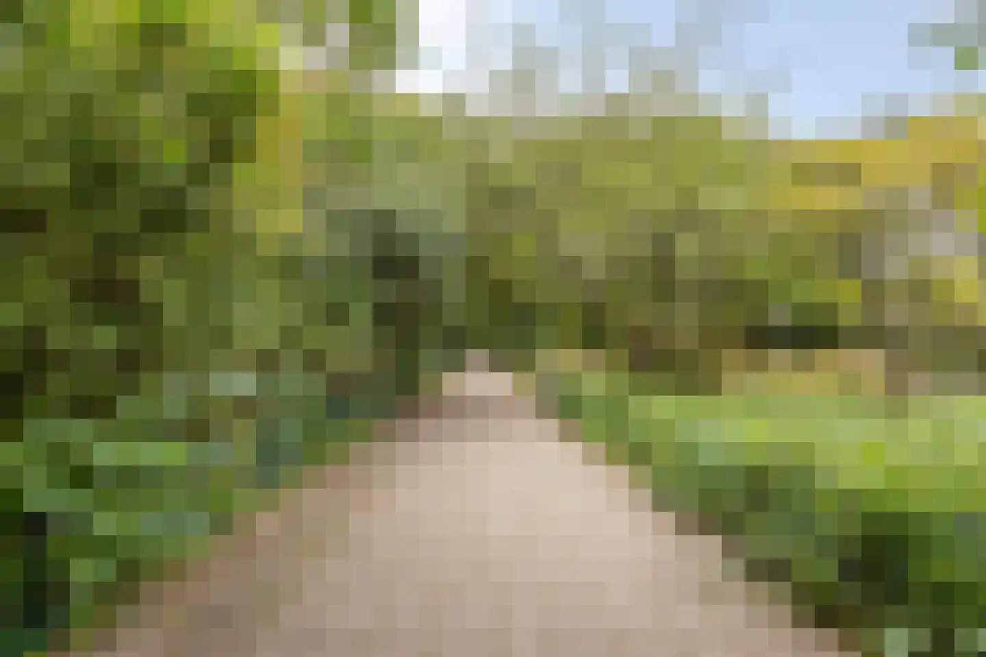 Van Nijenrodeweg 330 Amsterdam thumbnail 30