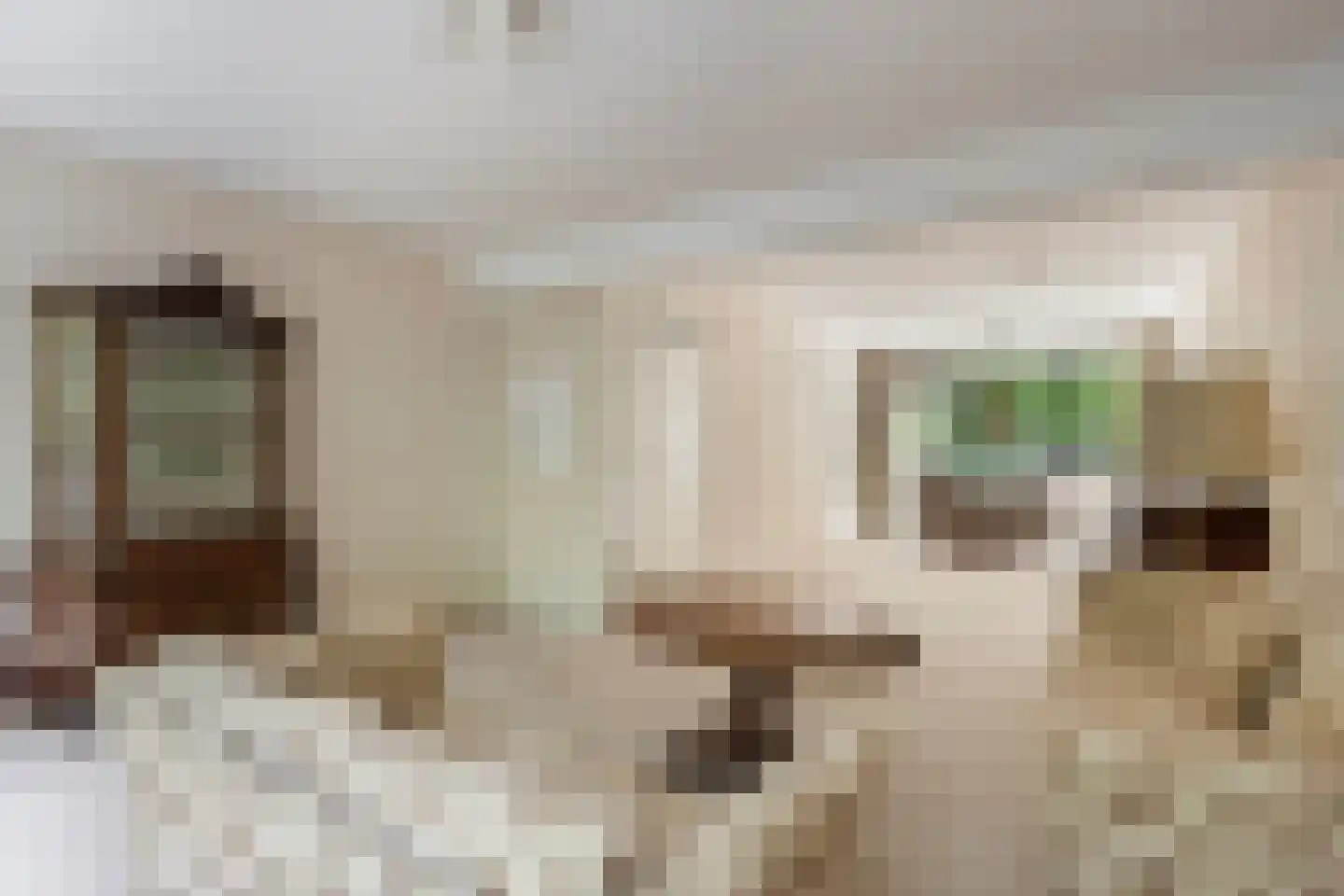 Van Nijenrodeweg 330 Amsterdam thumbnail 4
