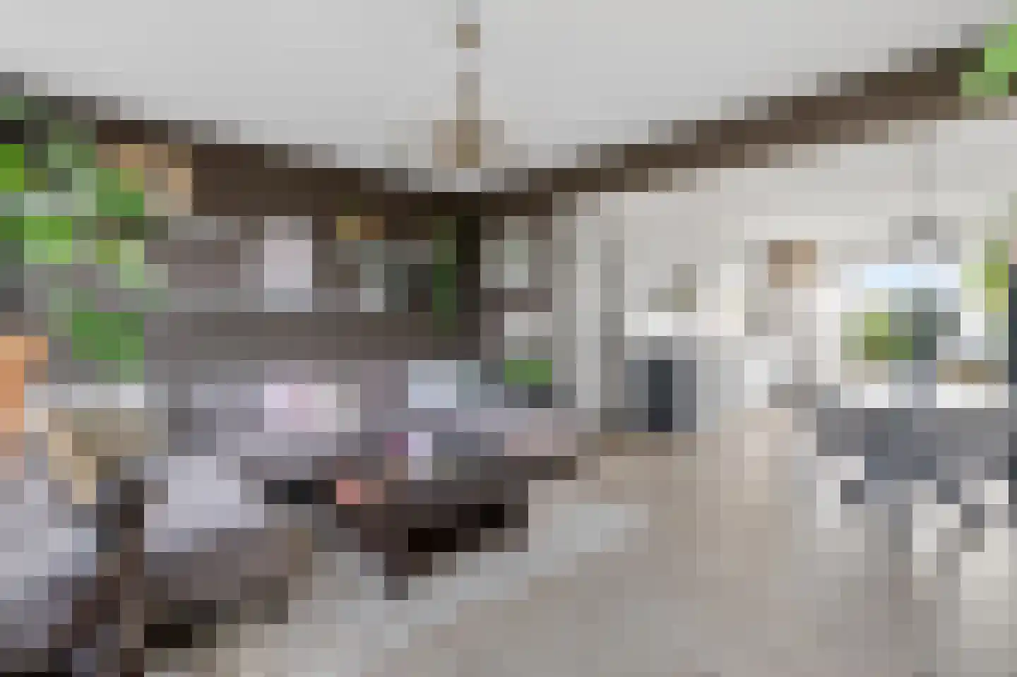 Van Nijenrodeweg 35 Amsterdam thumbnail 4