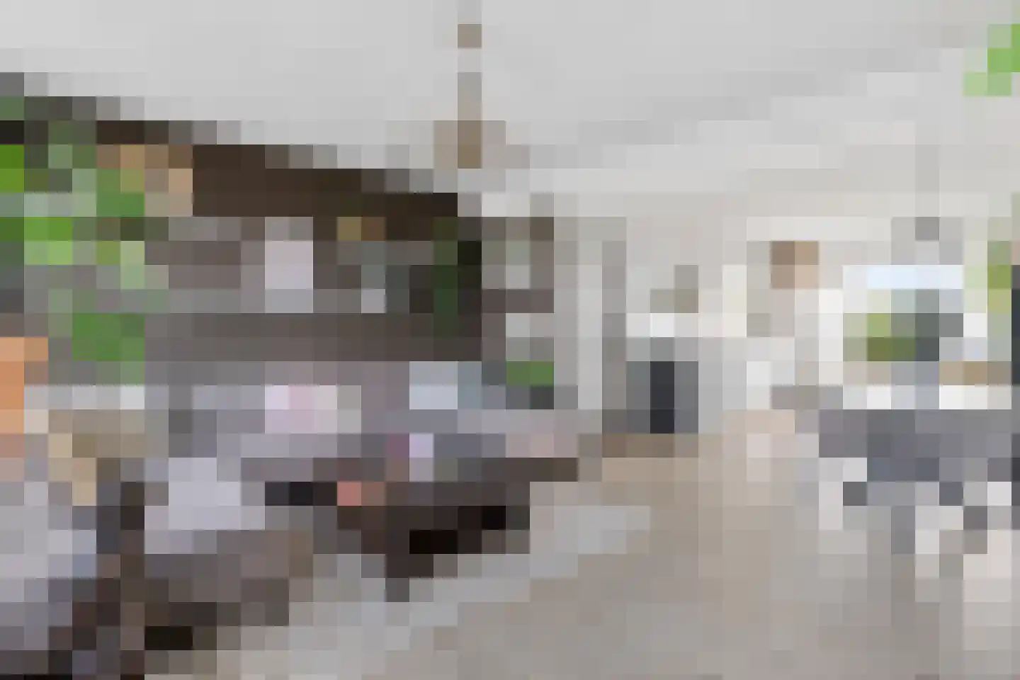 Van Nijenrodeweg 35 Amsterdam thumbnail 4