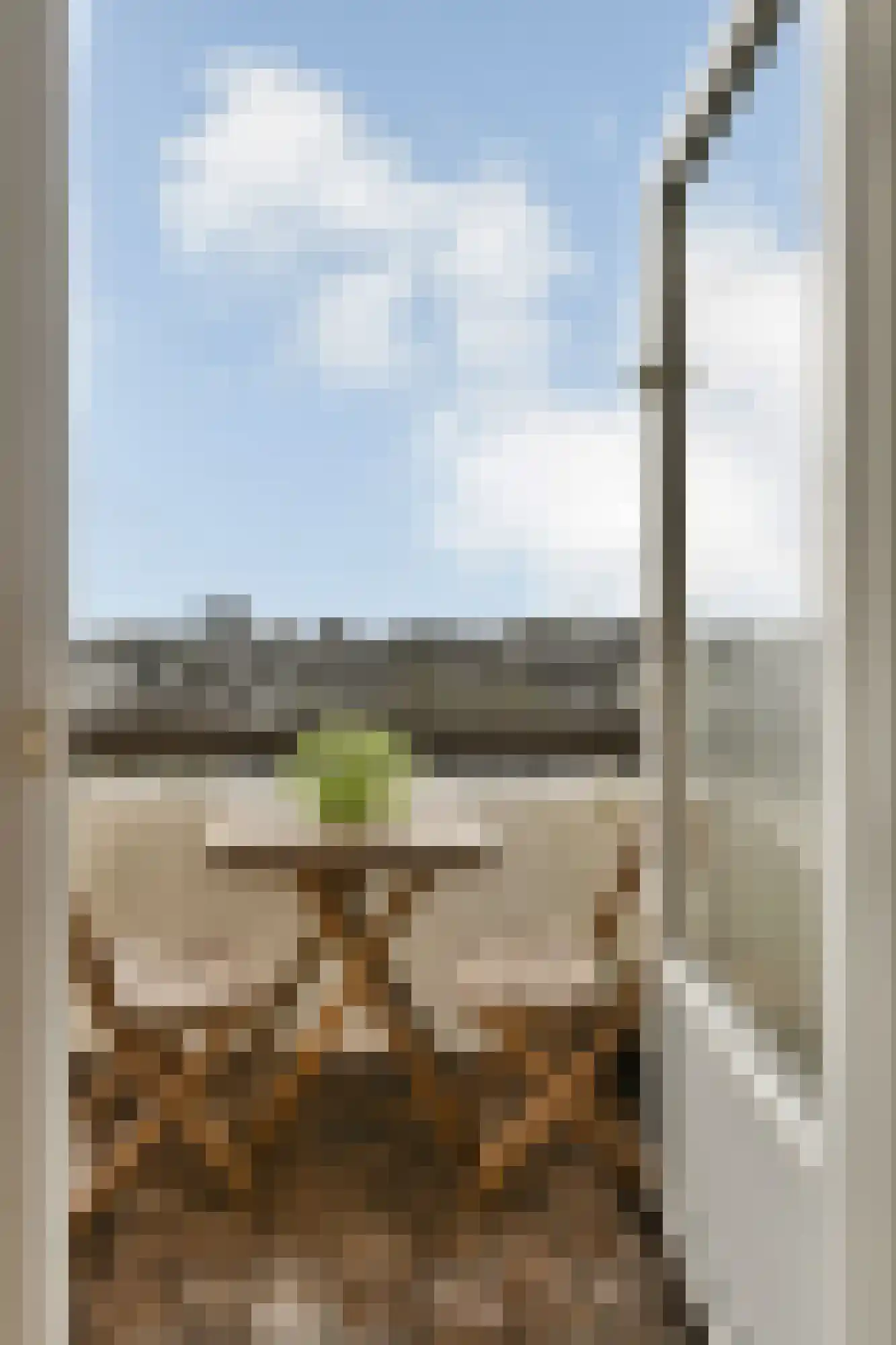 Van Nijenrodeweg 356 Amsterdam thumbnail 4