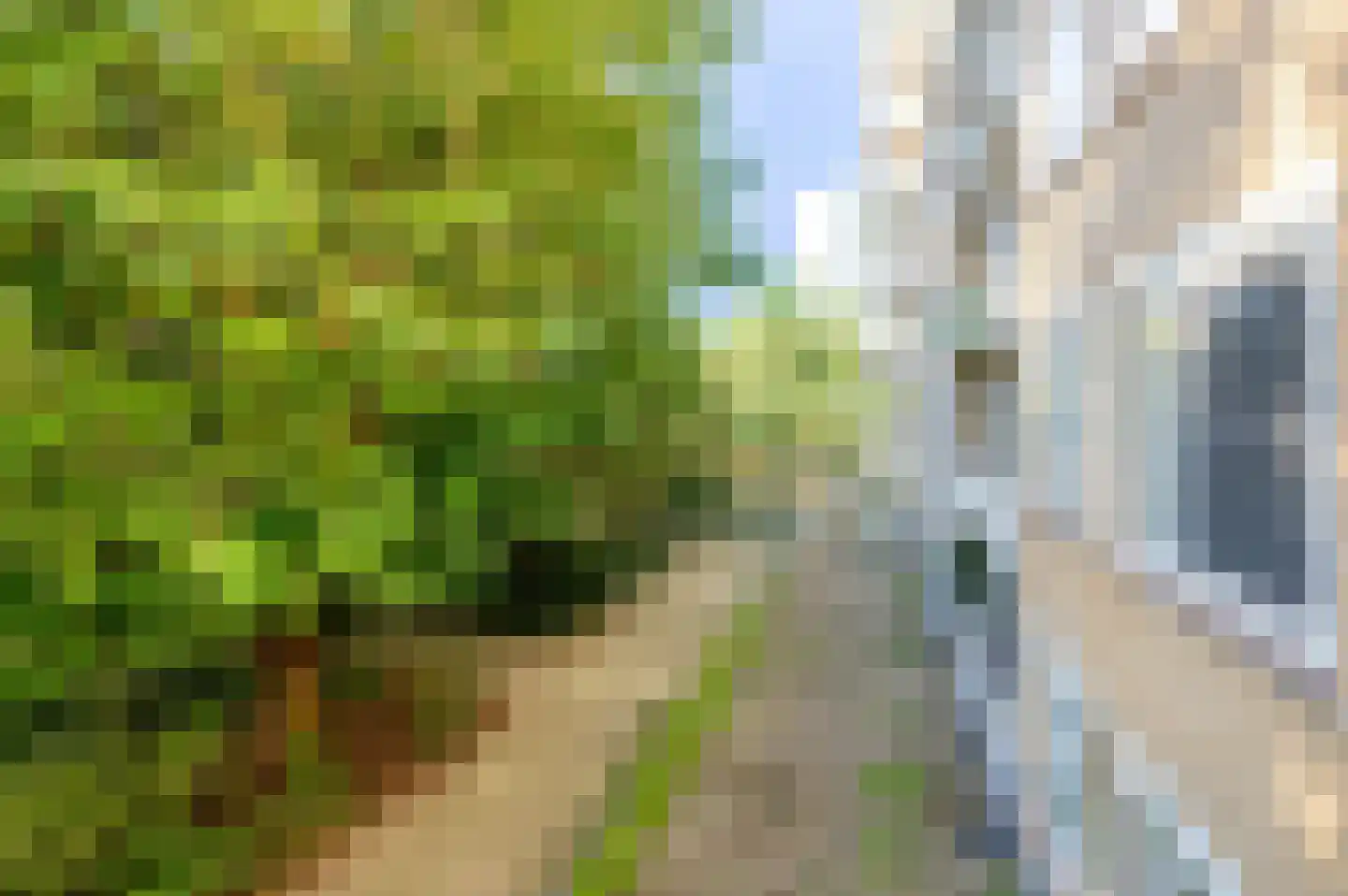 Van Nijenrodeweg 369 Amsterdam thumbnail 9