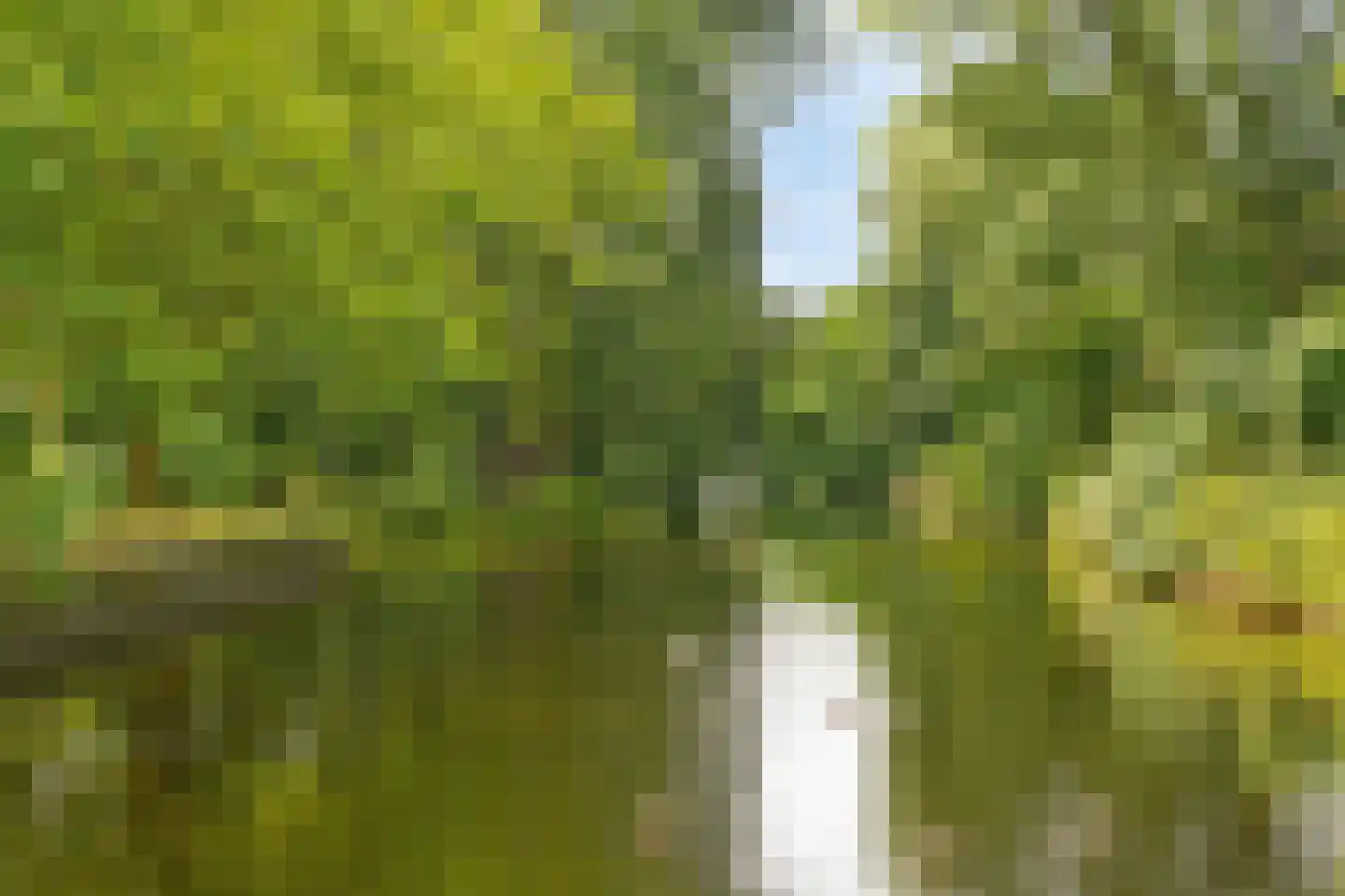 Van Nijenrodeweg 387 Amsterdam thumbnail 27