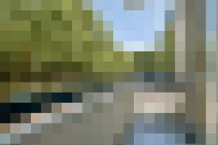 Van Nijenrodeweg 4 Amsterdam thumbnail 21