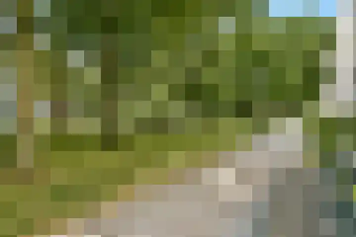 Van Nijenrodeweg 4 Amsterdam thumbnail 27