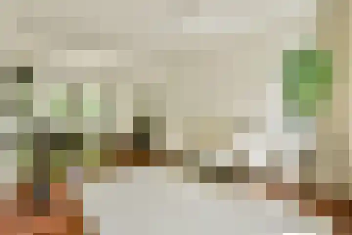 Van Nijenrodeweg 4 Amsterdam thumbnail 7