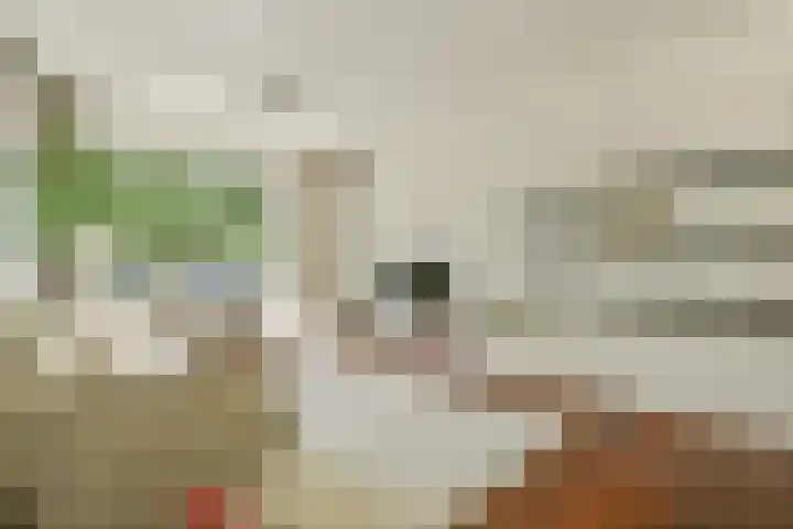 Van Nijenrodeweg 4 Amsterdam thumbnail 8