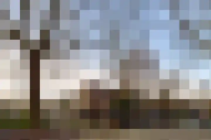Van Nijenrodeweg 420 Amsterdam thumbnail 18