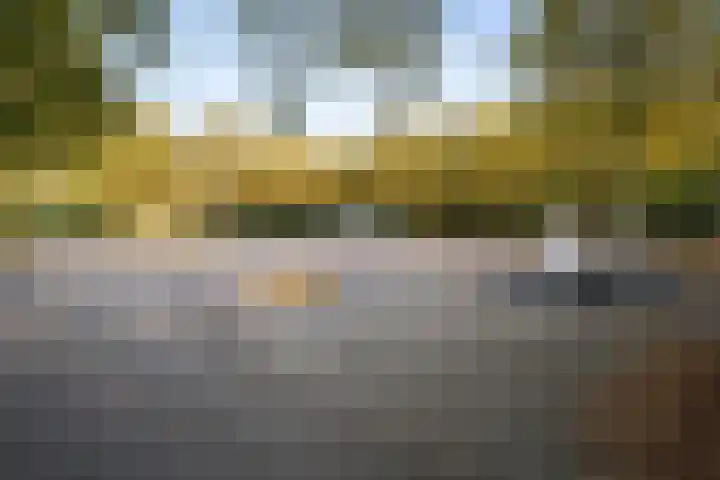 Van Nijenrodeweg 452 Amsterdam thumbnail 48